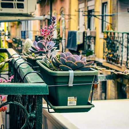 Elegant With Private Jacuzzi Apartment